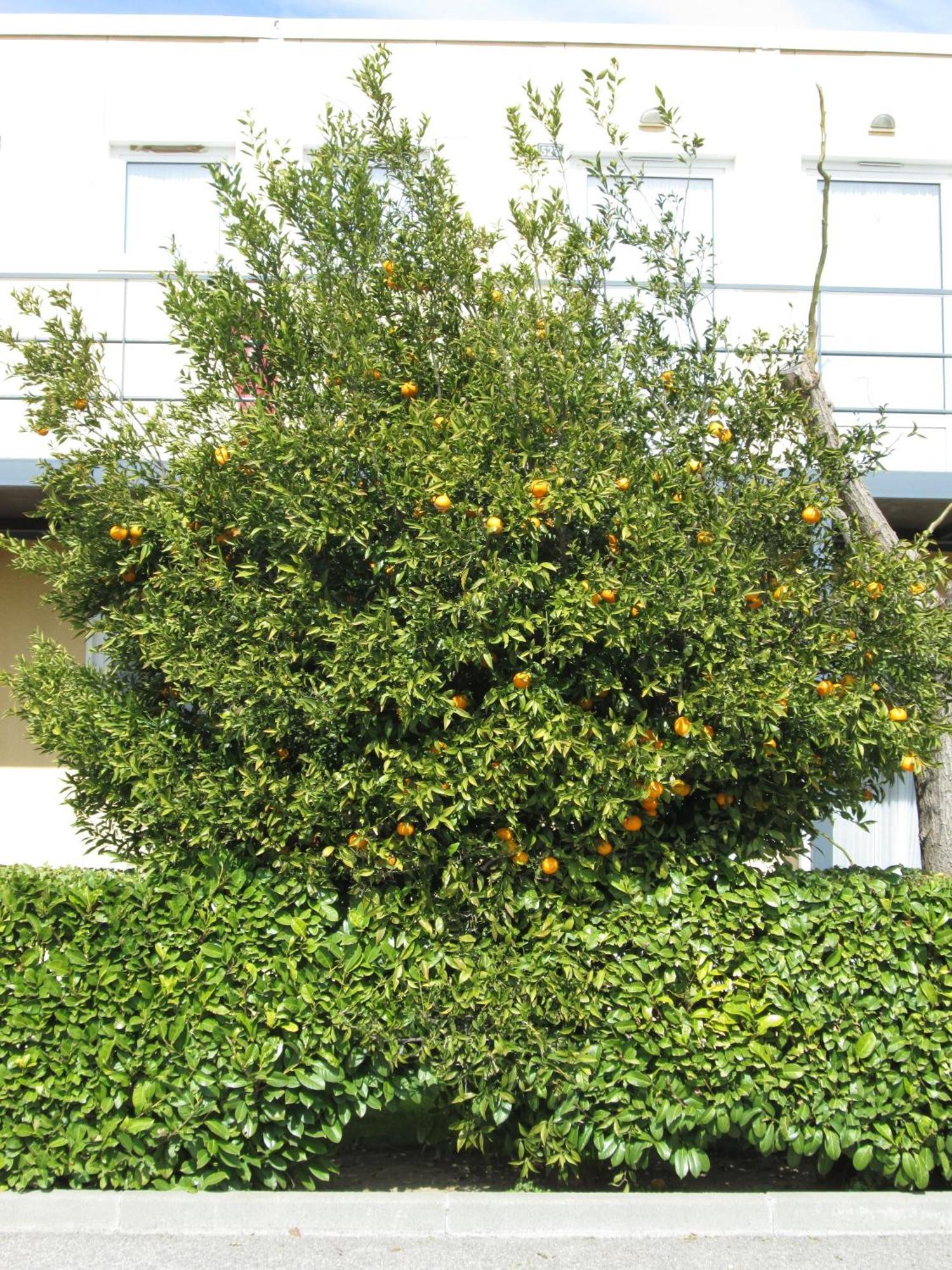 Top Motel Istres Buitenkant foto